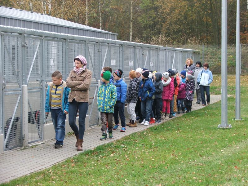 Uczniowie Szkoły Podstawowej w Konikowie pomagają  bezdomnym zwierzętom
