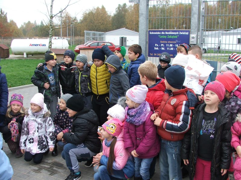 Uczniowie Szkoły Podstawowej w Konikowie pomagają  bezdomnym zwierzętom