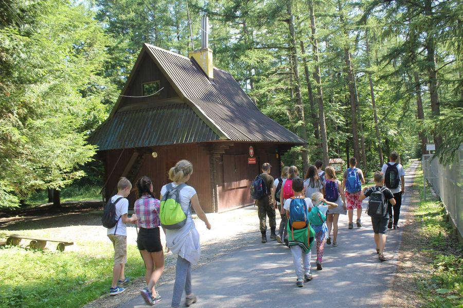 Bieszczady