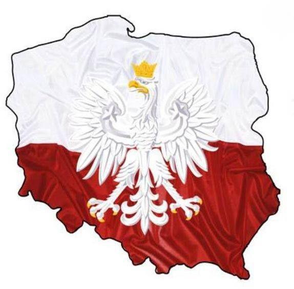 Orzeł