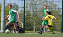 Orlik-liga